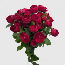 Rose Spray (Imported) - Red Lace (10 Stems) Rose Spray (Imported) - Red Lace (10 Stems)