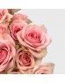 Spray Rose (Imported) - Sweet Sara (5/10 Stems)