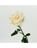 Rose (Imported) - Vendela (10 Stems)