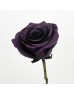 Rose Dyed 50cm (Imported) - Purple Amethyst (10 Stems) Rose Dyed 50cm (Imported) - Purple Amethyst (10 Stems)
