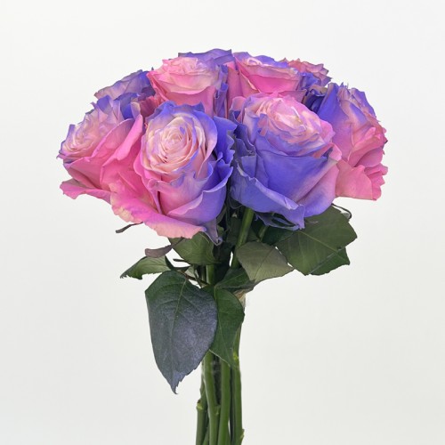 Rose Dyed 50cm (Imported) - Sweet Love (10 Stems) Rose Dyed 50cm (Imported) - Sweet Love (10 Stems)
