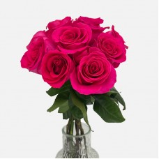 Rose 50cm (Imported) - Pink Floyd (10 Stems) Rose 50cm (Imported) - Pink Floyd (10 Stems)