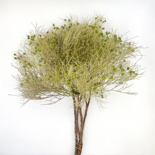 Soft Silk (Imported) - (Per Bunch)