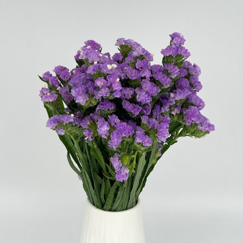 Statice (Imported) - Light Purple (1 Bundle) Statice (Imported) - Light Purple (1 Bundle)