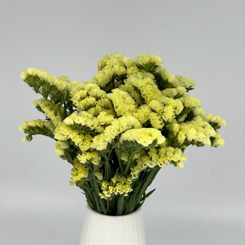 Statice (Imported) - Yellow (1 Bundle)