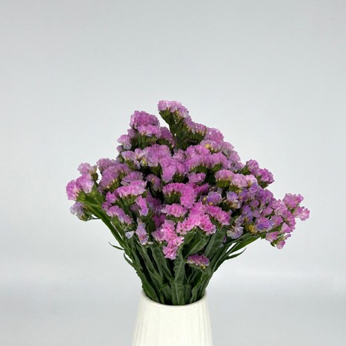 Statice (Local) - Pink (1 Bundle) Statice (Local) - Pink (1 Bundle)