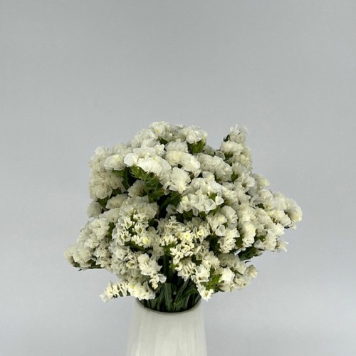 Statice (Local) - White (1 Bundle) Statice (Local) - White (1 Bundle)