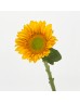 Sunflower Mini (Imported) - Yellow (5/10 Stems)