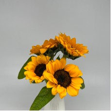 Sunflower Taiwan (Imported) - Yellow (5 Stems) Sunflower Taiwan (Imported) - Yellow (5 Stems)