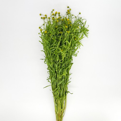 Sweet Fruit (Imported) - (Per Bunch)