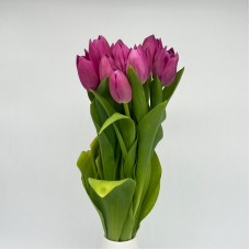 Tulip (Imported) - Barcelona (9-10 Stems)