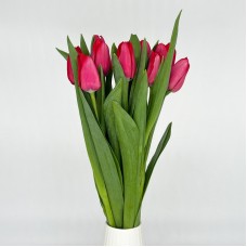 Tulip (Imported) - Ile De France (9-10 Stems)