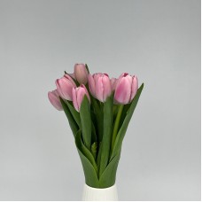Tulip (Imported) - Light Pink (9-10 Stems)
