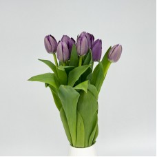 Tulip (Imported) - Lilac (9-10 Stems)