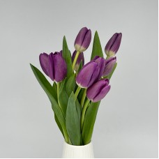 Tulip (Imported) - Purple (9-10 Stems)
