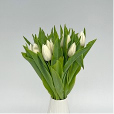 Tulip (Imported) - White (9-10 Stems)