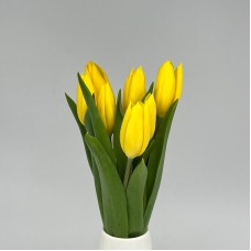 Tulip (Imported) - Yellow (9-10 Stems)