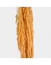 Preserved Amaranthus - Light Orange (Per Bundle) Preserved Amaranthus - Light Orange (Per Bundle)