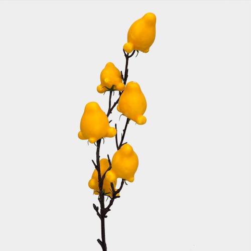 Artificial Foxface - (Per Stem)