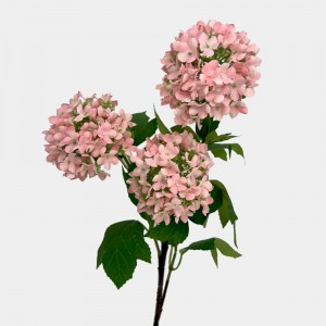 Artificial Snowball Spray - Pink (Per Stem)