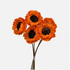 Dried Bell Cup Flower - (5 Stems)