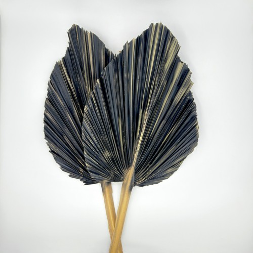 Cattail Leaf Fan - Black (2 Stems)