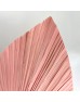 Cattail Leaf Fan - Pink (2 Stems)