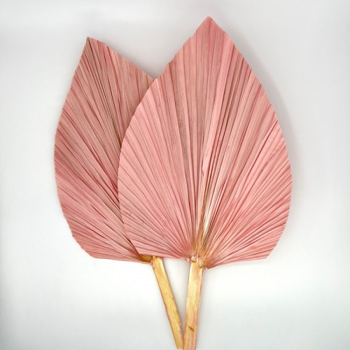 Cattail Leaf Fan - Pink (2 Stems)