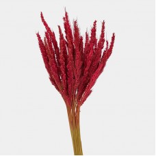 Dried Buckwheat - (Per Bundle)