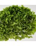Preserved Hydrangea - Army Green (Per Stems)