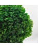Preserved Hydrangea - Dark Green (Per Stems)