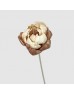 Dried Peony Colored 5cm - Brown (10 Stems)