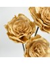Dried Rose Sola - Light Brown (3 Stems)