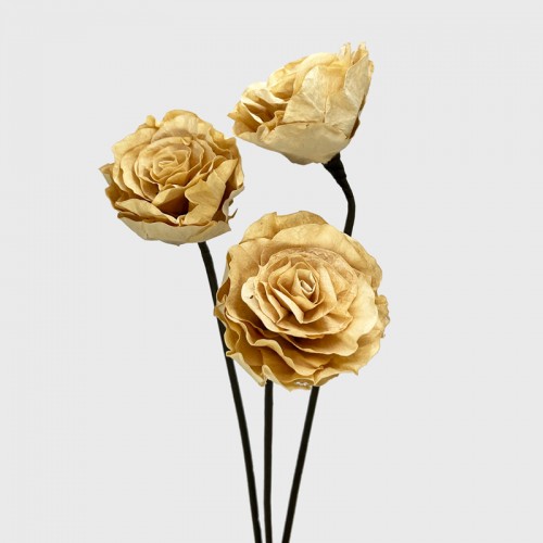 Dried Rose Sola - Light Brown (3 Stems)