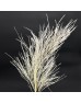 Preserved Stone Grass - (Per Bundle)