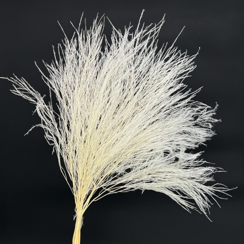 Preserved Stone Grass - (Per Bundle)