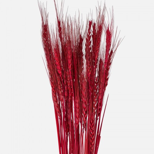 Dried Wheat Grass - Red (Per Bundle) Dried Wheat Grass - Red (Per Bundle)