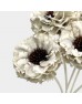 Dried Zinnia - White (5 Stems) Dried Zinnia - White (5 Stems)